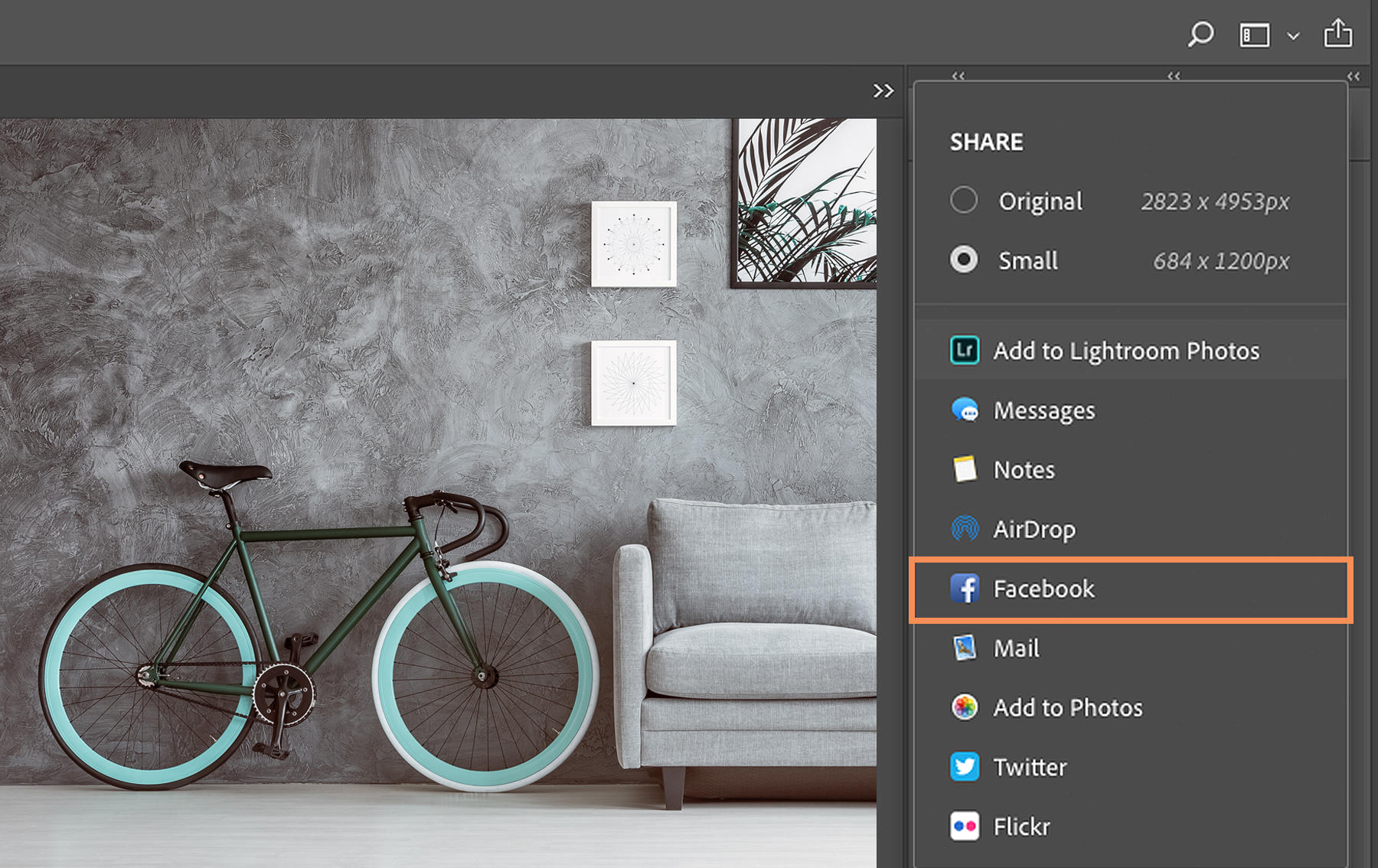 In macOS Share box, Facebook is selected