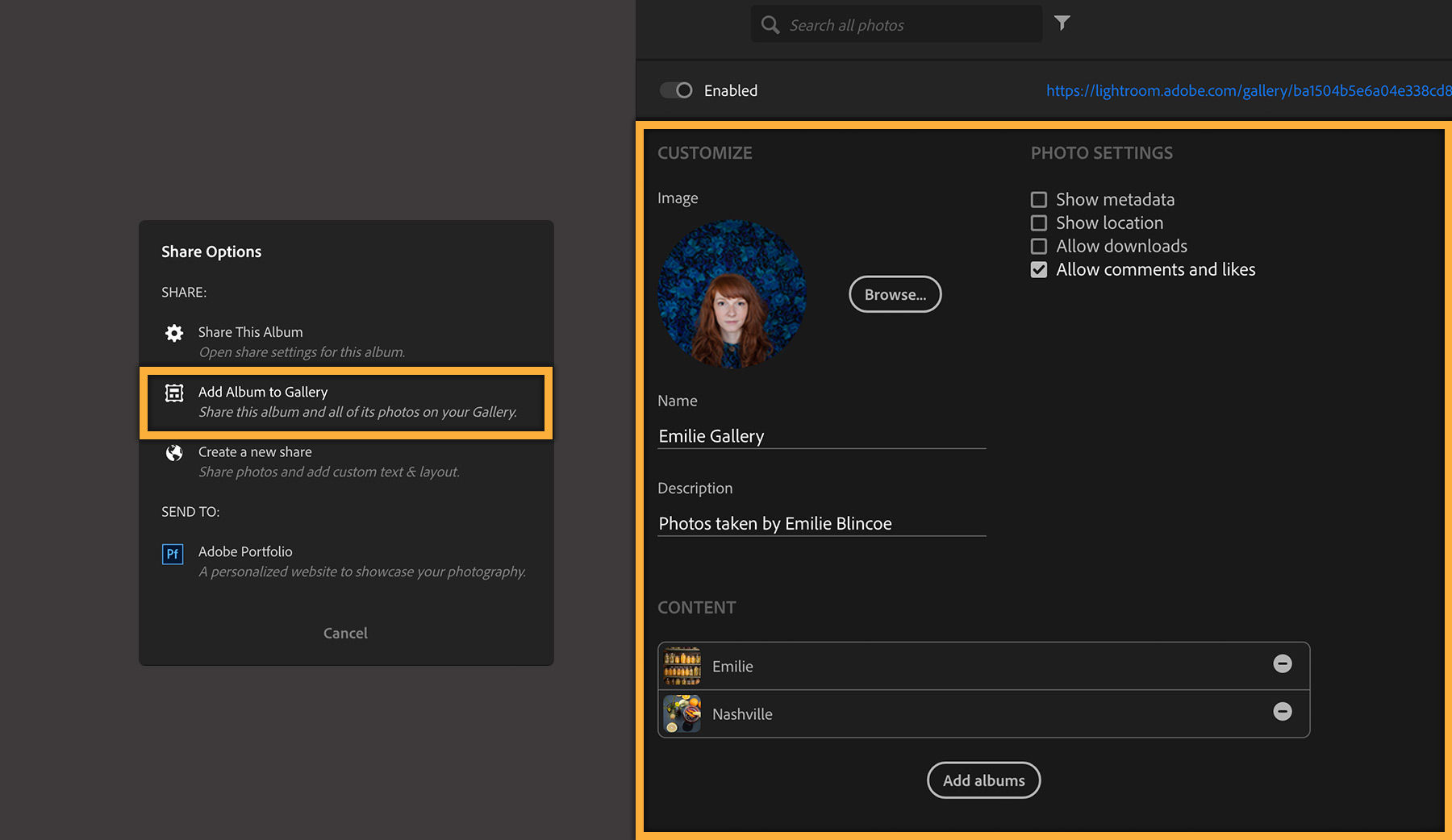 Click Add Album to Gallery and select privacy options for images.