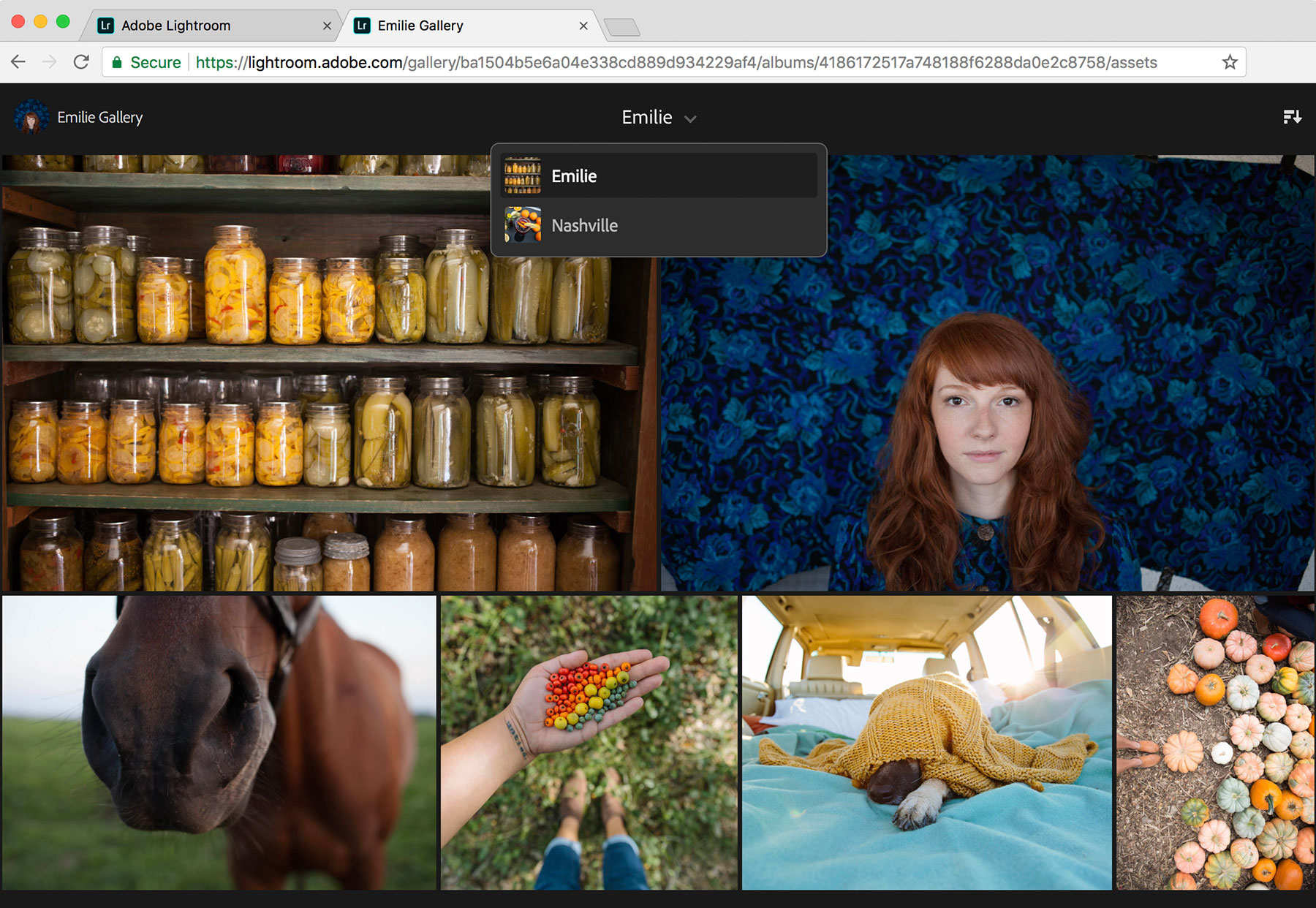 Gallery appears on Lightroom for web. Changes made on Lightroom mobile or desktop are updated on the web.