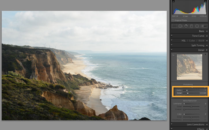 The Radius and Detail sliders determine how large the details of the image are and how much definition is created. 