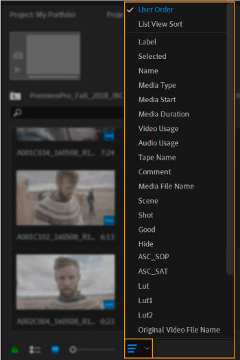 Sort icons in Project panel