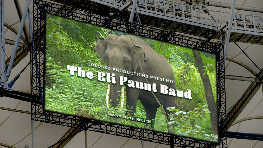 Digital ad in stadium shows Asian elephant in forest and text overlay: “Colosso Productions Presents The Eli Faunt Band”