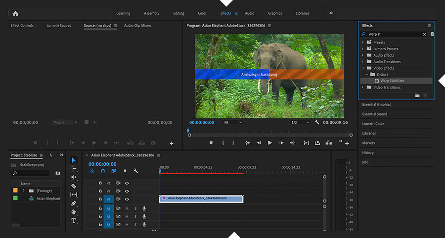 Adobe Premiere Pro shows the Warp Stabilizer effect applied to a clip, and Analyzing and Stabilizing progress indicators