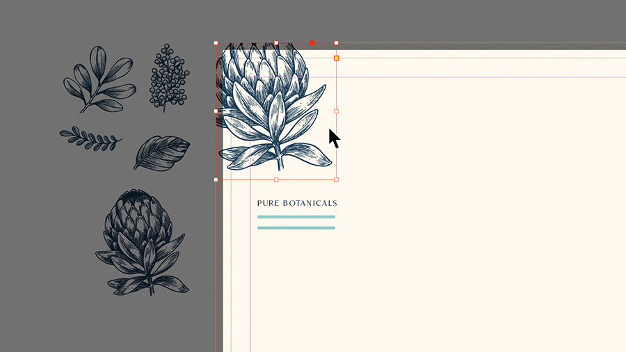 Adding botanical graphics to the corner of a letterhead layout