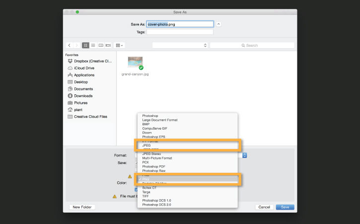 File is saved as JPEG format for photo only, or PNG format if text or other shapes are included.  