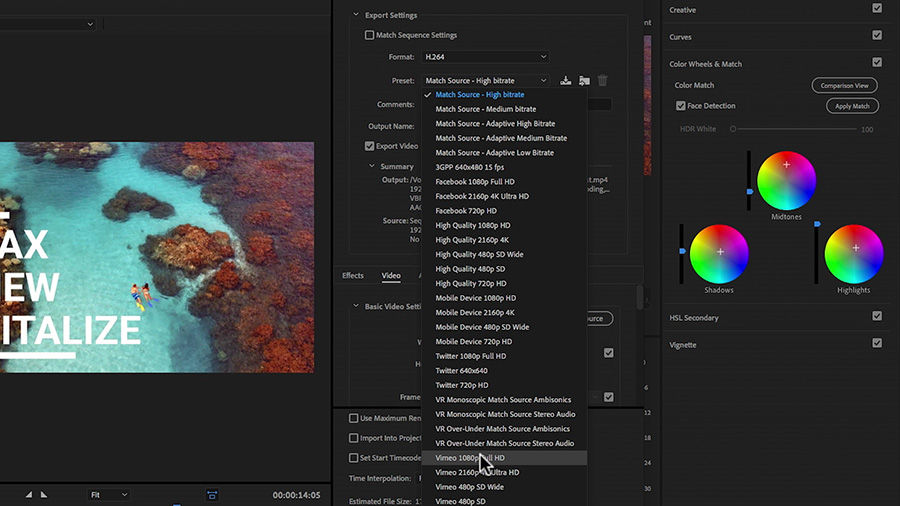Video export settings are chosen, including video format, preset, and destination folder.