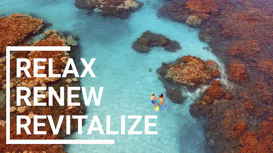 RELAX RENEW REVITALIZE in white letters appears over a distant photo of two people swimming in a clear sea by coral reef.