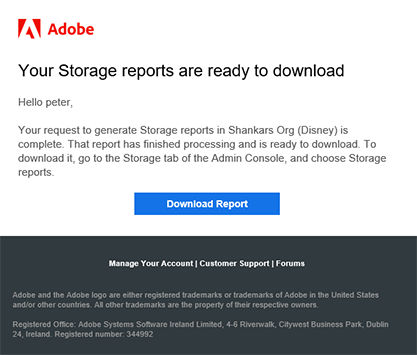 Stoage report download email