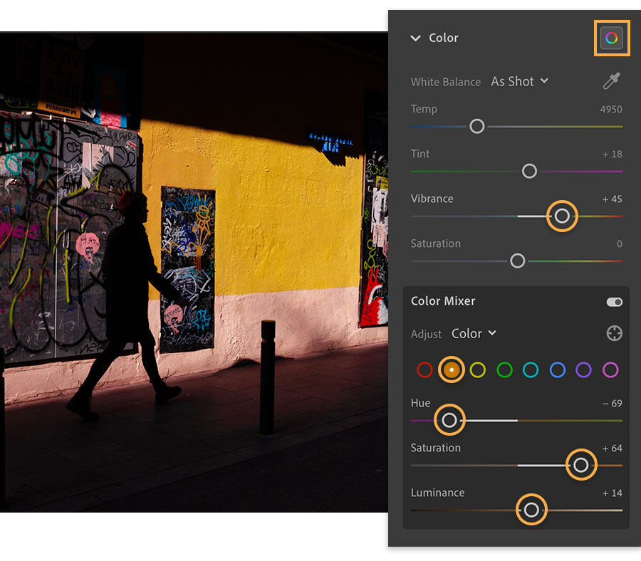Color panel with HSL and Vibrance sliders adjusted to colorize the photo.