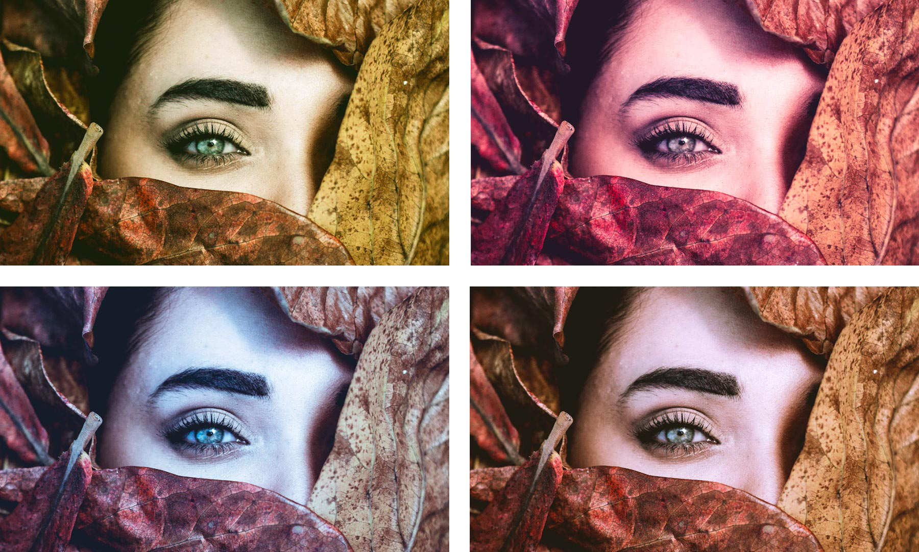 Four versions of the woman's face show the effects of adjusting highlights and shadows.