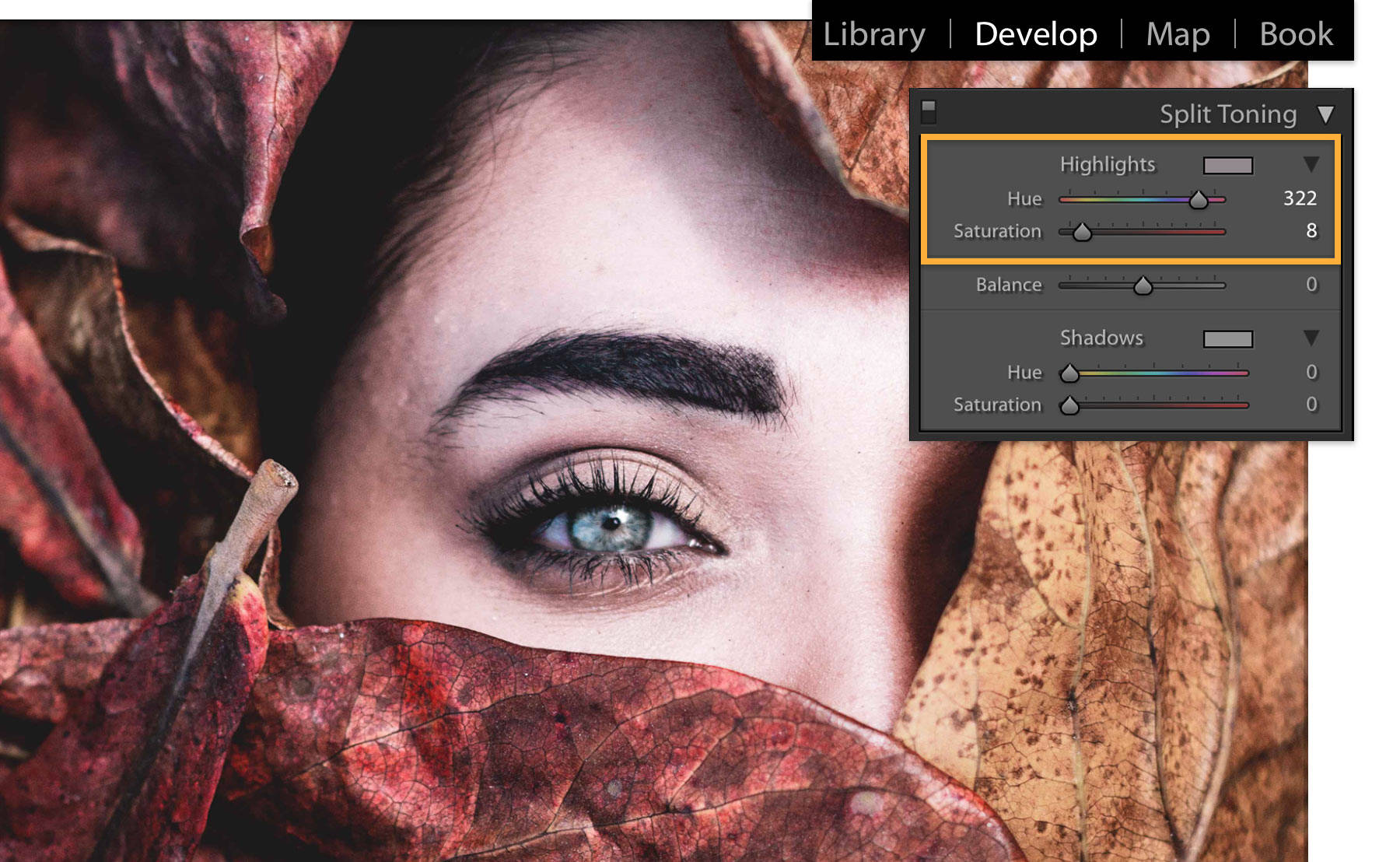 The highlights hue and saturation settings are adjusted independently of the shadows.