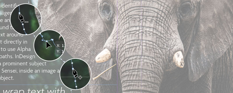 Editing anchor points