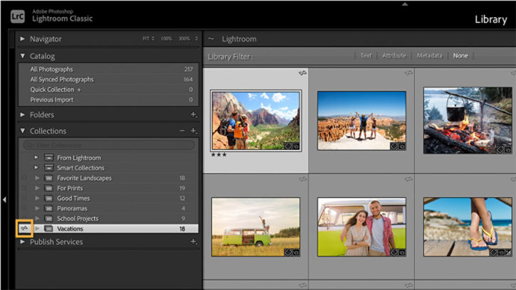 The Collections menu with the sync icon highlighted next to the name of a synced collection.