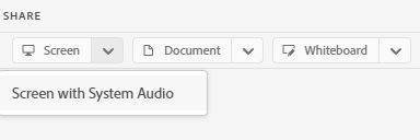 share screen with system audio