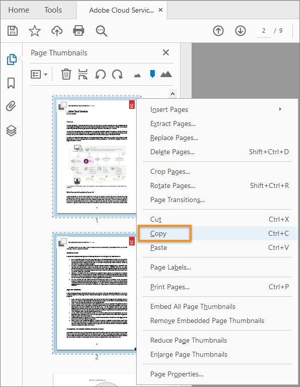 Right click and copy the page