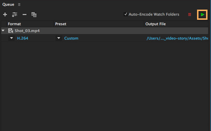 Encode the file by clicking the green play button. 