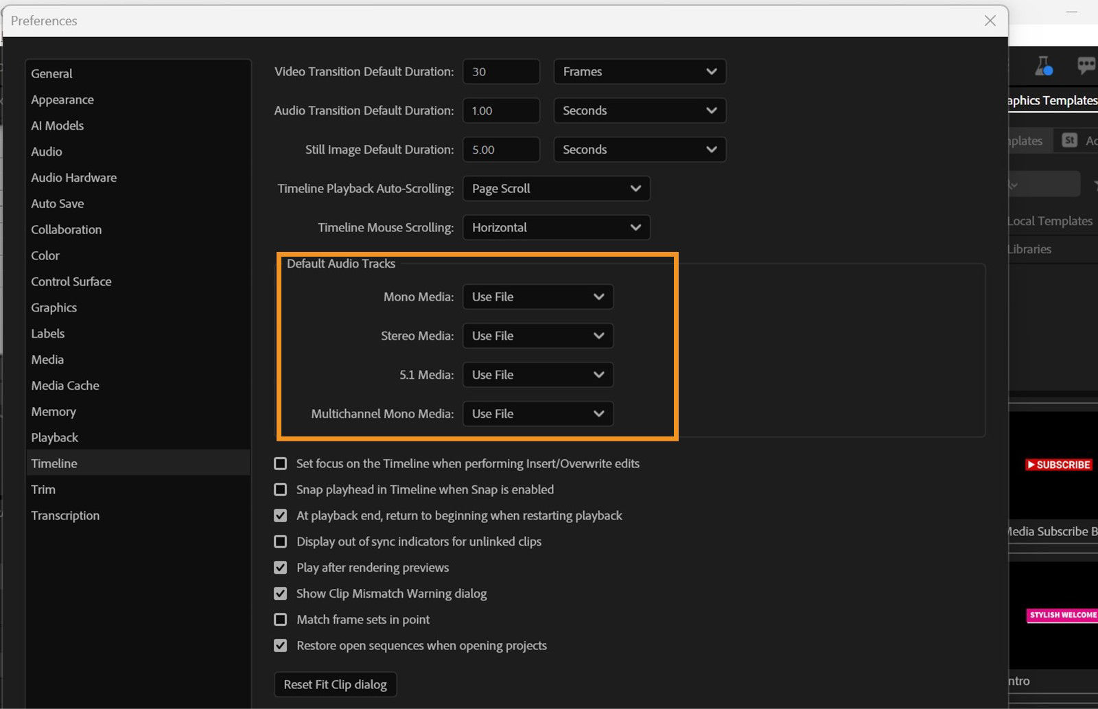 The image shows the Timeline Preferences dialog box indicating the section from which you can choose the format of your media.