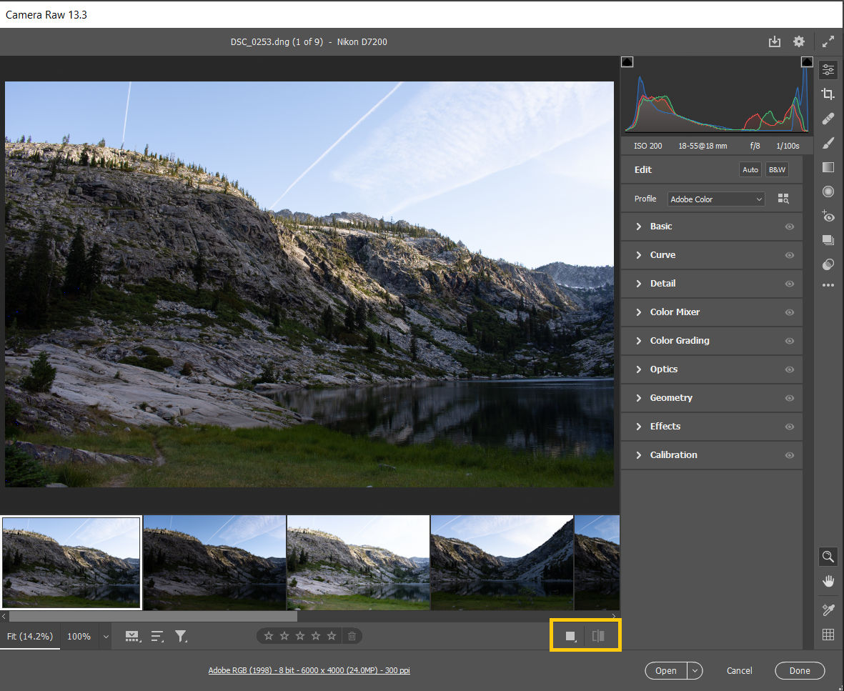 camera raw photoshop cs4 download