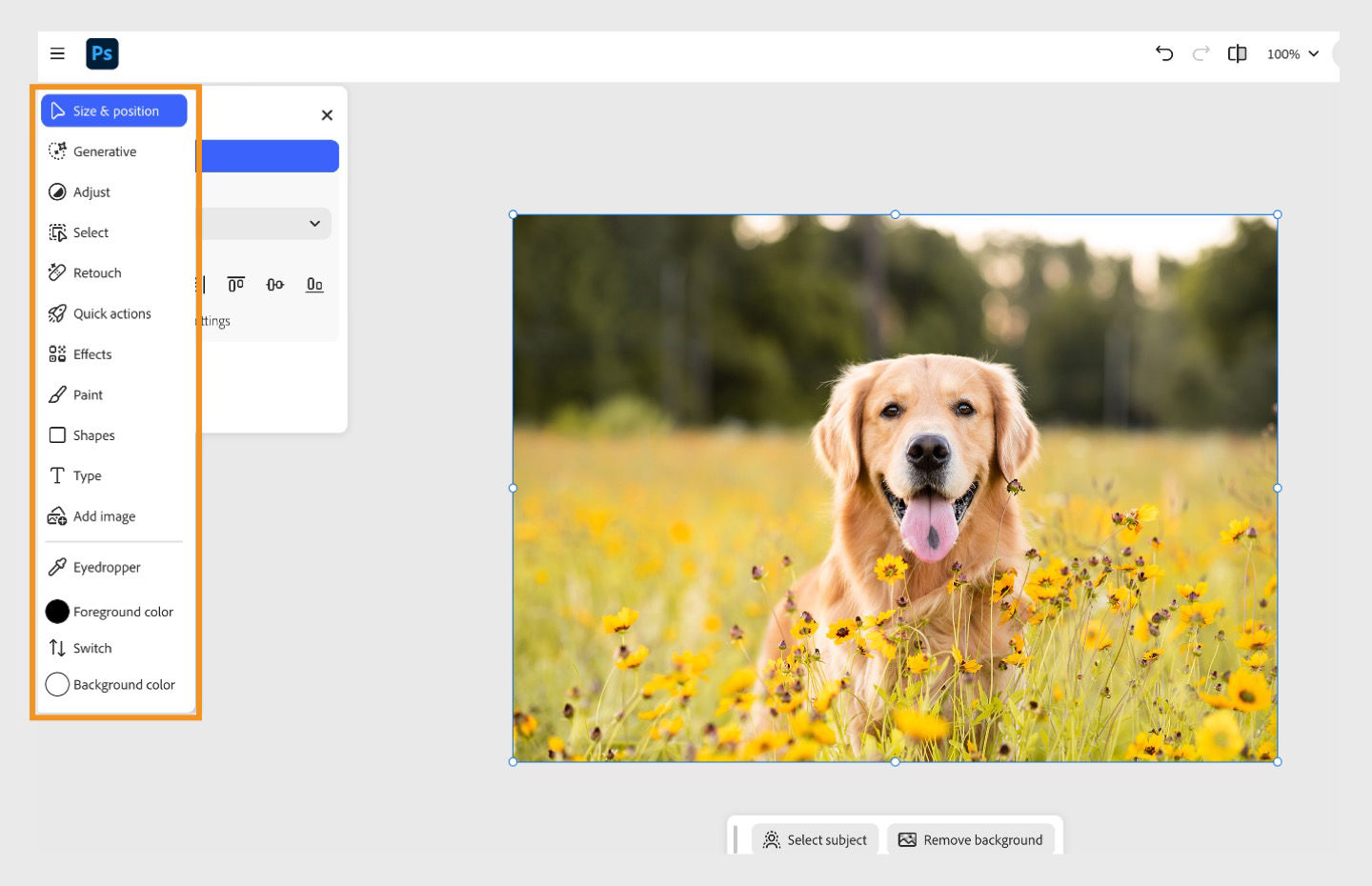 The Tools panel shows the highlighted set of tools like Size & position, Adjust, Select, Retouch, and more for edits.