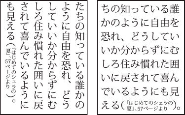 Vertical and horizontal text with Warichu