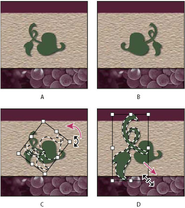 Transformação de uma imagem do Photoshop