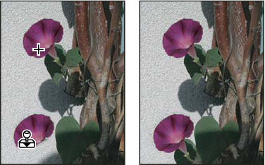 Photoshop Alter an image with the Clone Stamp tool