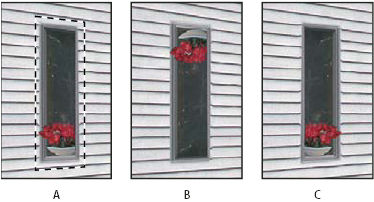 Photoshop De tool Transformatie 