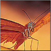 Photoshop Unsharp mask