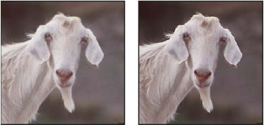 Photoshop sharpen selectively