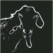 Photoshop edge mask black point