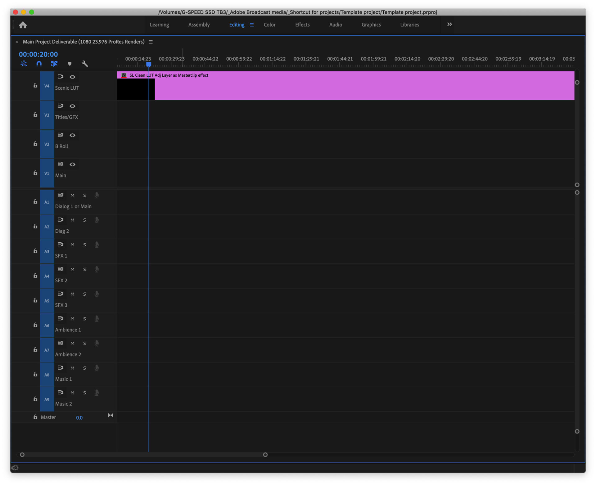 Timelines in the template