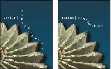 Photoshop Horizontal and vertical type on an open path