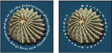 Photoshop Horizontal and vertical type