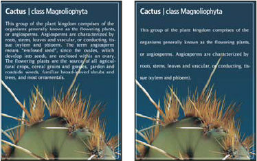 Photoshop set leading