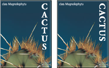 Photoshop Original type (left) and type without vertical rotation (right)