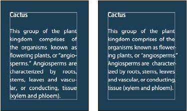 Photoshop hanging punctuation