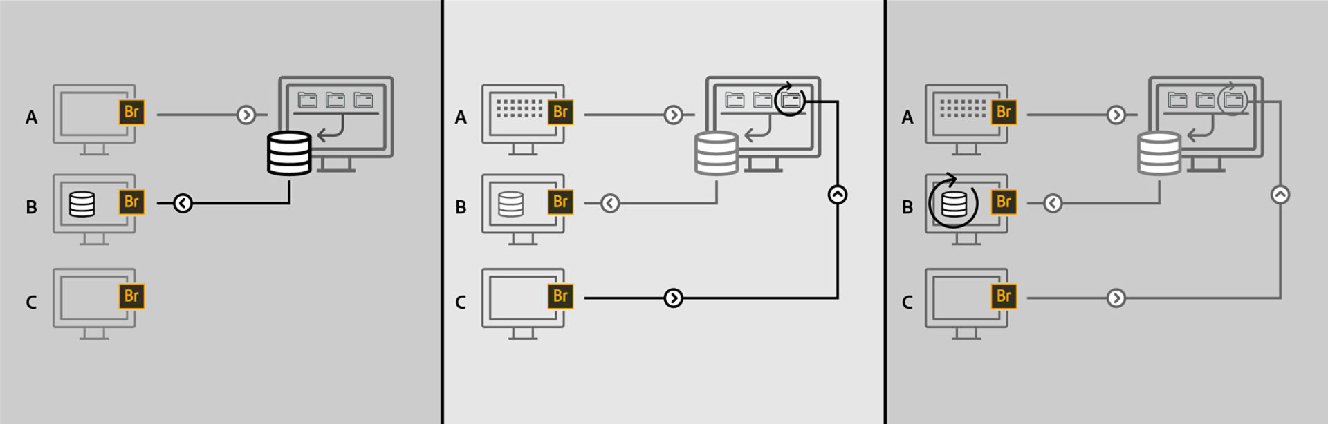 Bridge detecting and updating a shared cache