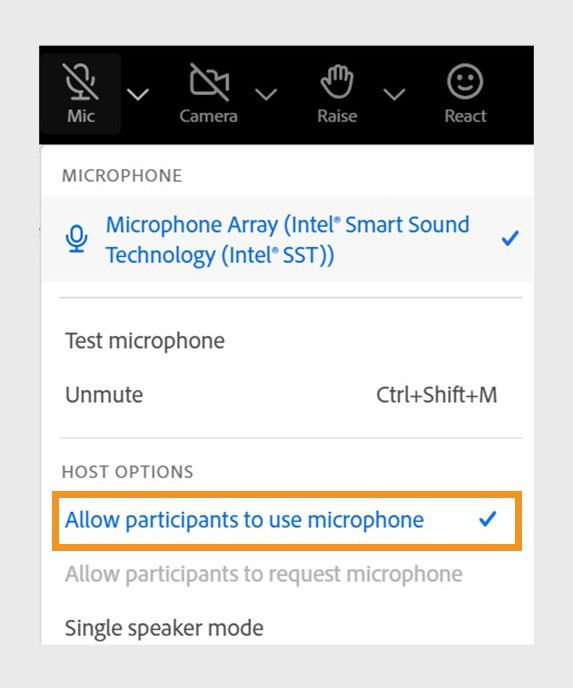 Microphone settings menu showing the option to grant microphone access to all the participants during a meeting