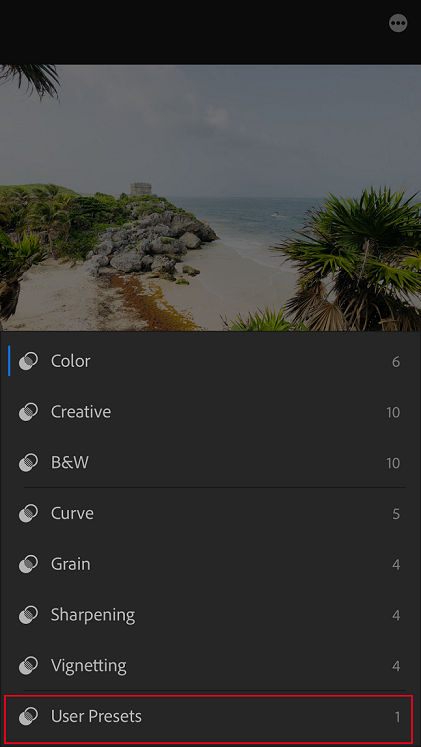 View custom presets in User Presets folder
