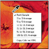 Photoshop context menu