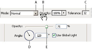 Photoshop Enter values in panels, dialog boxes, and the options bar