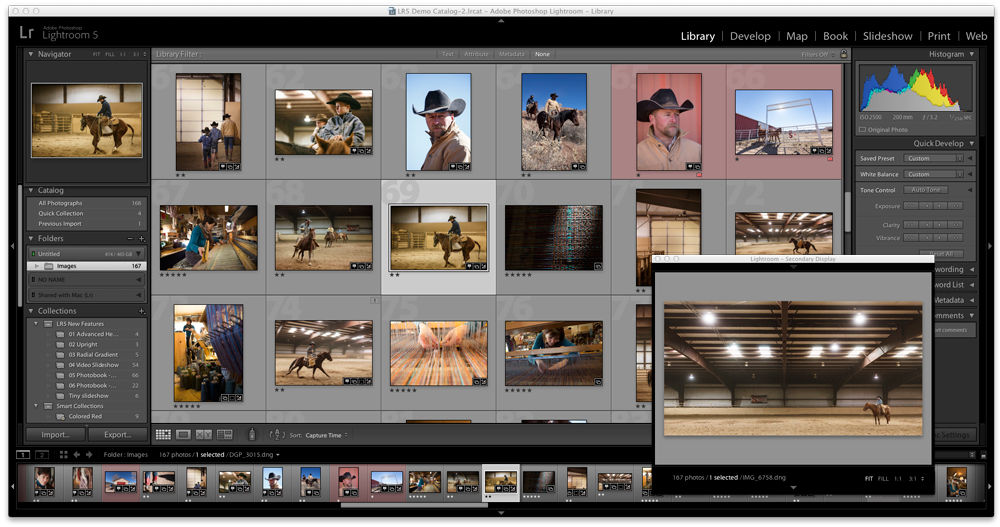Lightroom Classic CC Library module and Loupe view