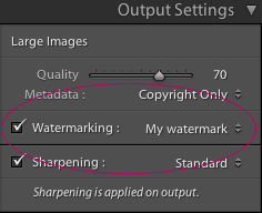 Lightroom Classic CC Output Settings panel