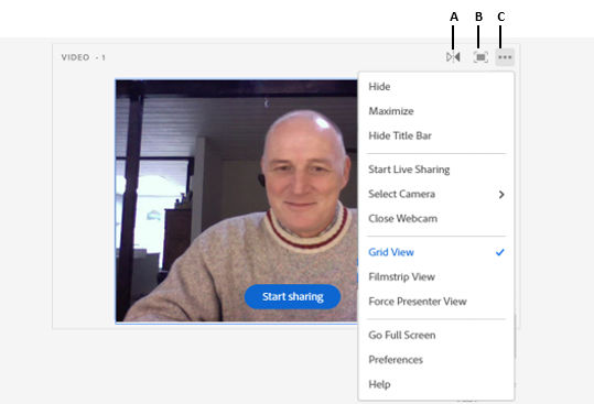 Webcam video in Video pod and the available controls