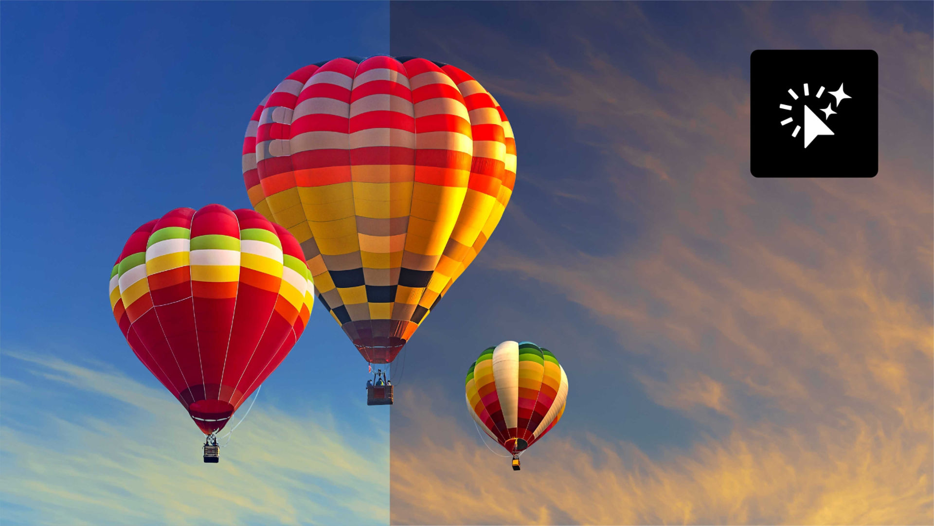 A graphic of a jellyfish