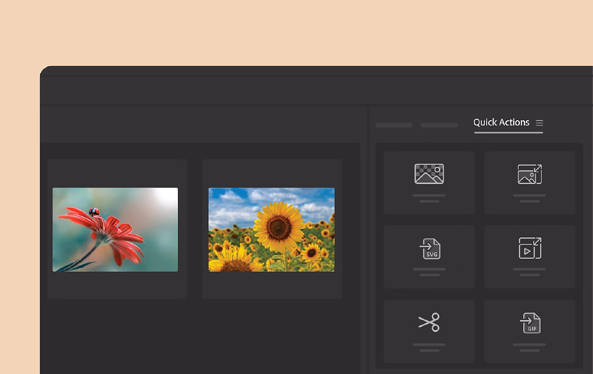 Adobe Bridge 2025 v15.0.3.525中文版软件下载-CG资源网 Adobe Bridge 2025 v15.0.3.525中文版软件下载