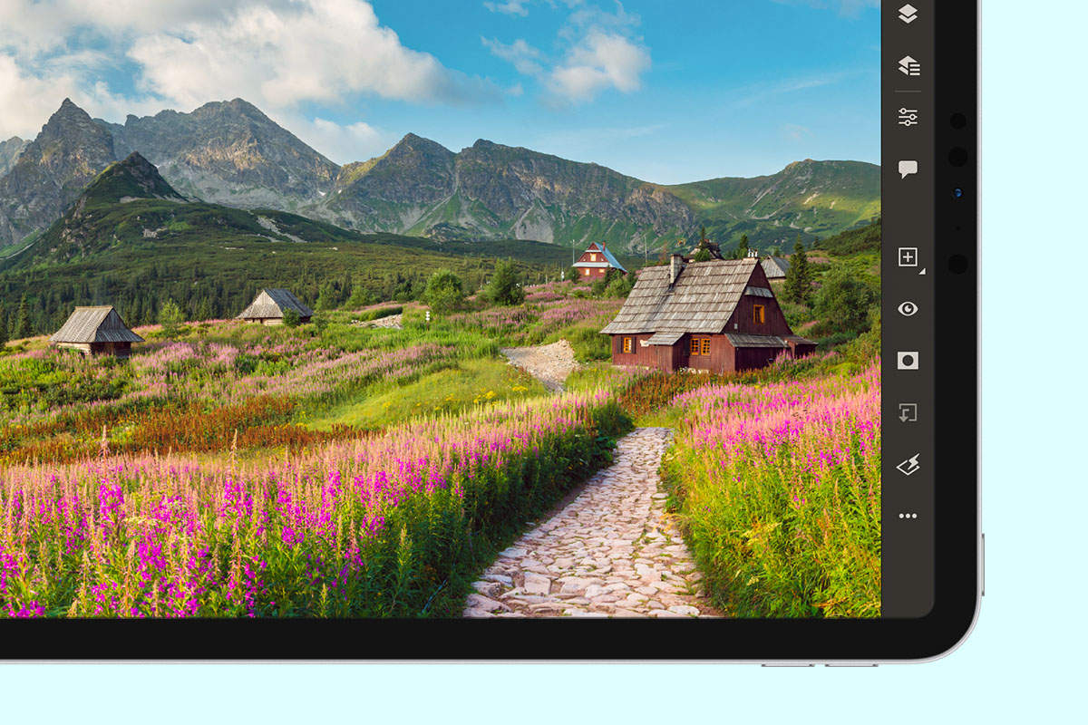 Auto color command and other auto adjustment commands are now available on the iPad