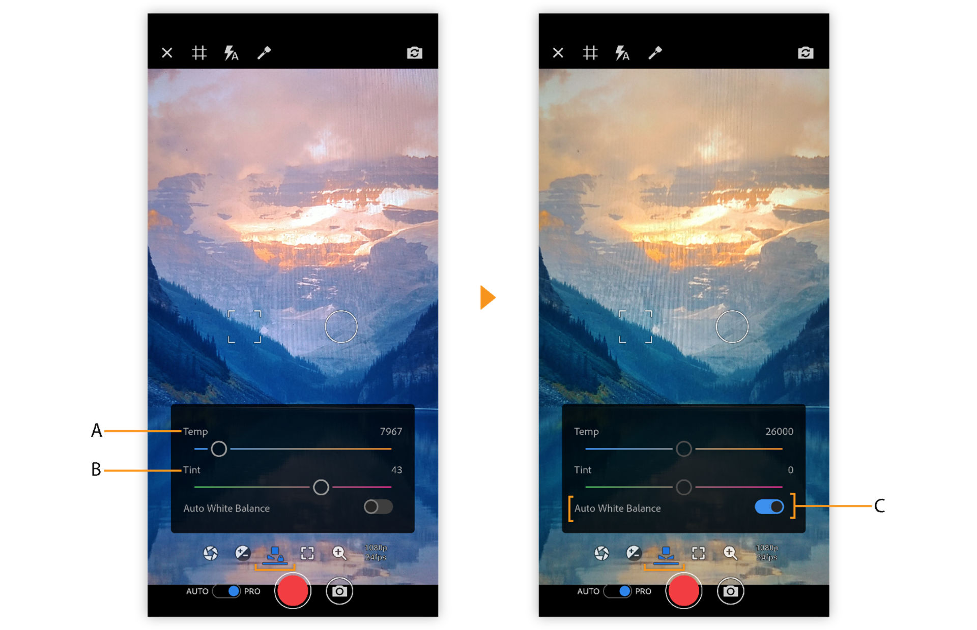 PRO white balance options in Premiere Rush