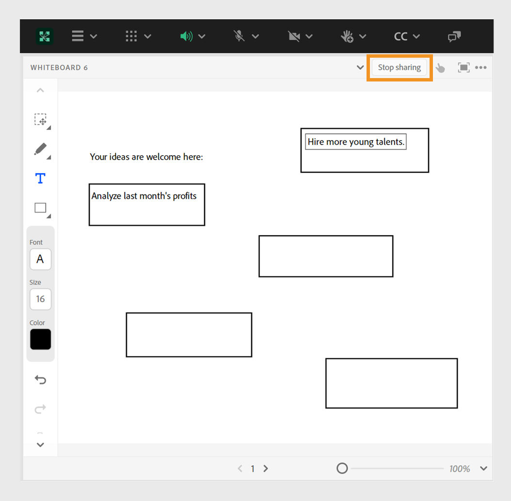 Overlay and controls available in an Adobe Connect whiteboard.