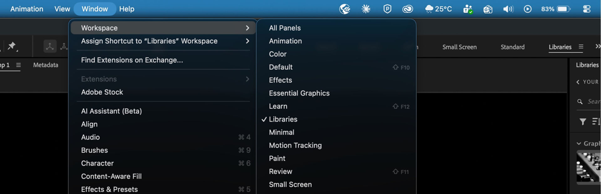 Workspace submenu open under the Window menu, showing panel layout presets with Libraries checked as active.
